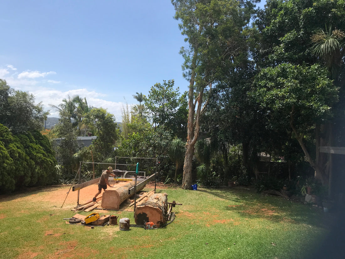 Ben milling in backyard of a local client for slabs, posts, and beams.